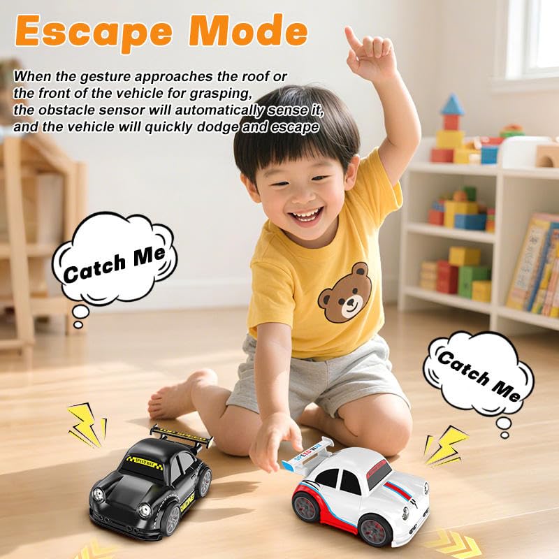 Mini RC Drift Remote Car with remote